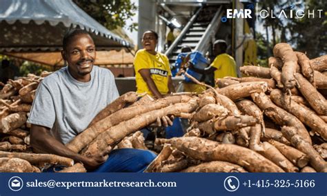 Cassava Processing Market Size, Share, Analysis, Report 2024.